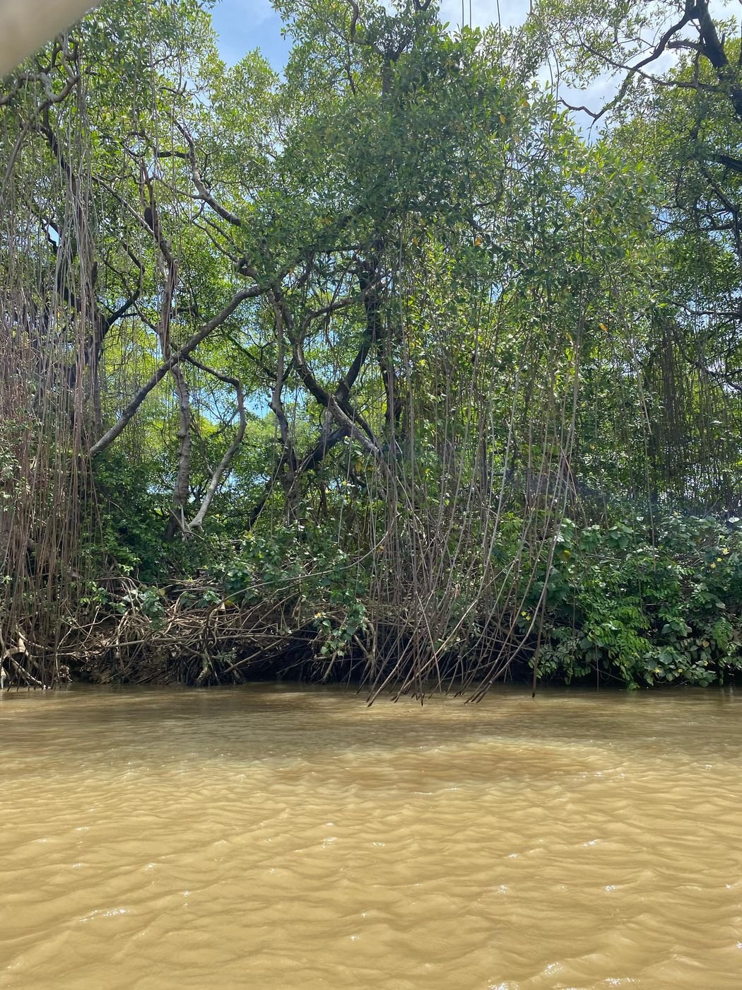 Parnaíba: The Historic Riverside City That Surprises Every Visitor on the Rota das Emoções