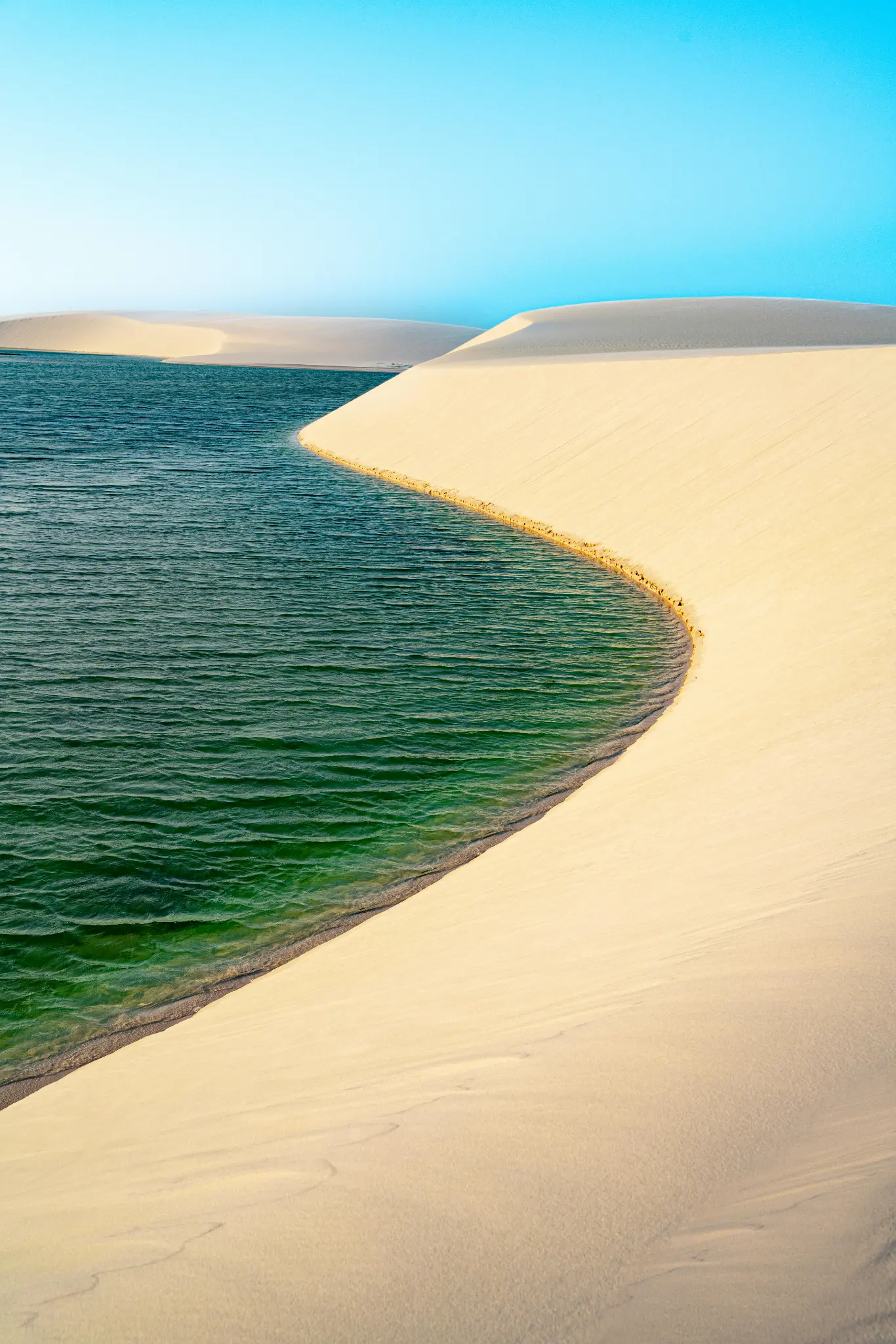 The freshwater lagoons of the national park